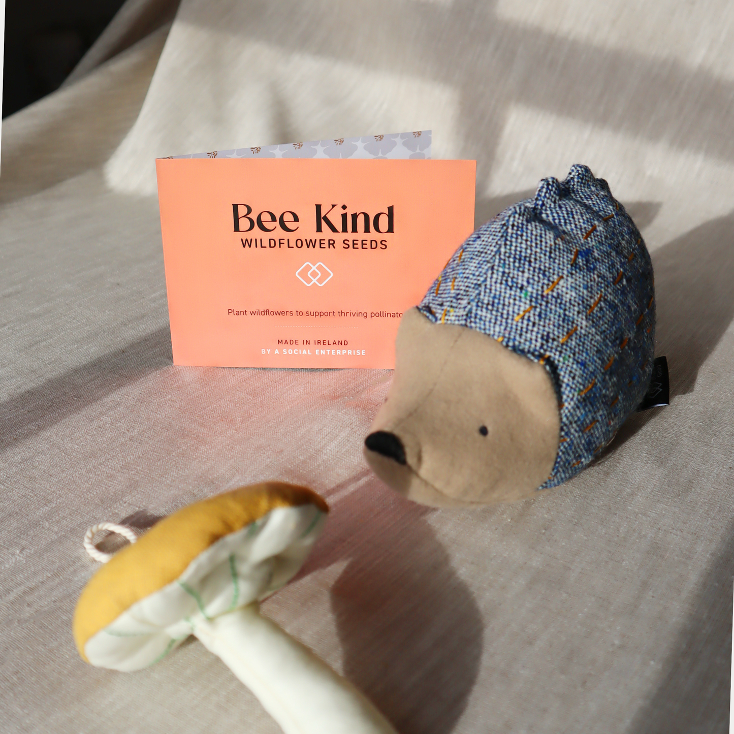 Children’s Nature Discovery Gift Set