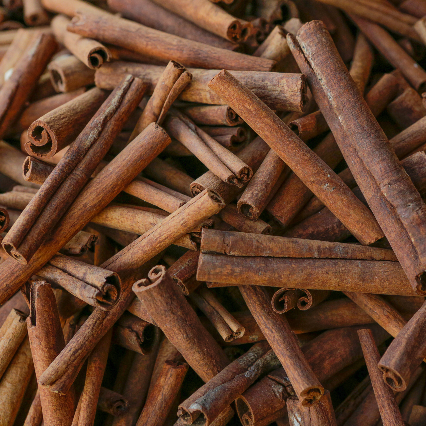 Cinnamon  Linen Napkins