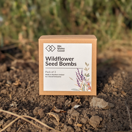 Wildflower Seed Bombs