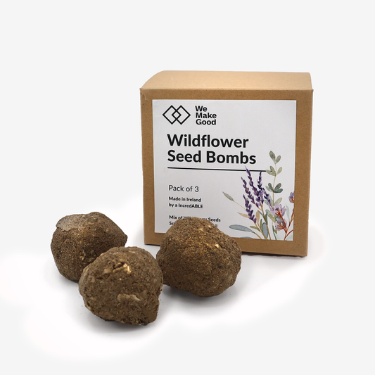 Wildflower Seed Bombs